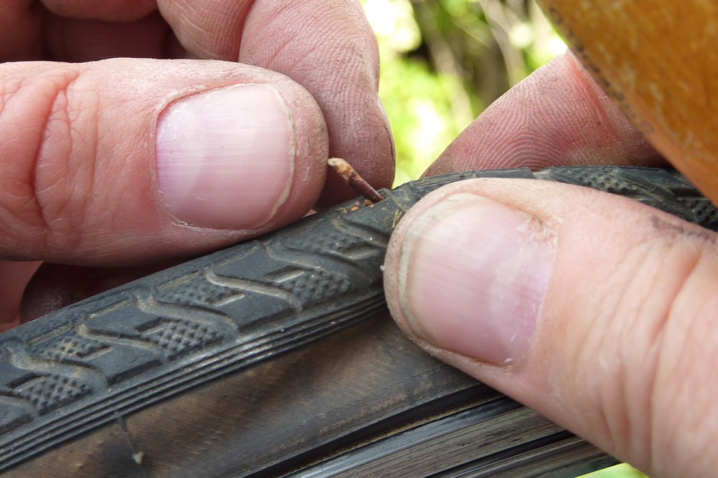 Thorns are just one of many things that can puncture a bicycle tyre and inner tube