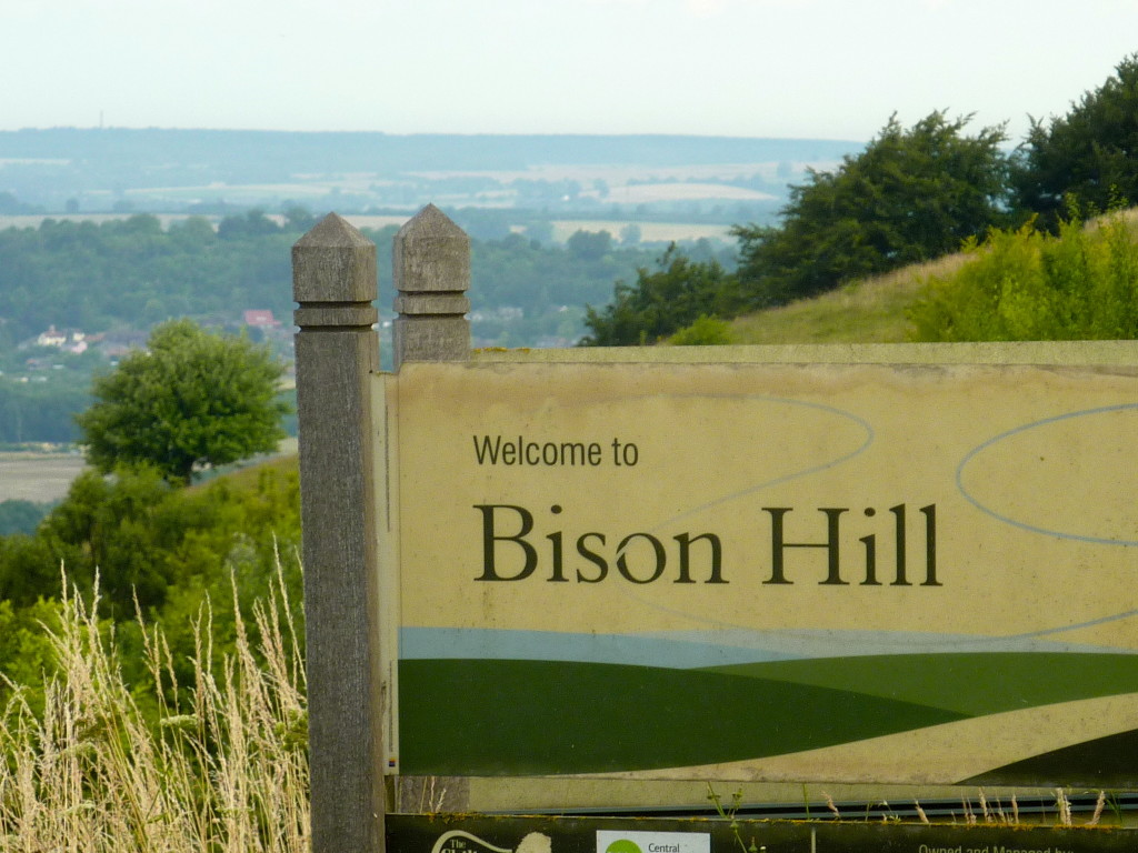 Bison Hill, Beds.
