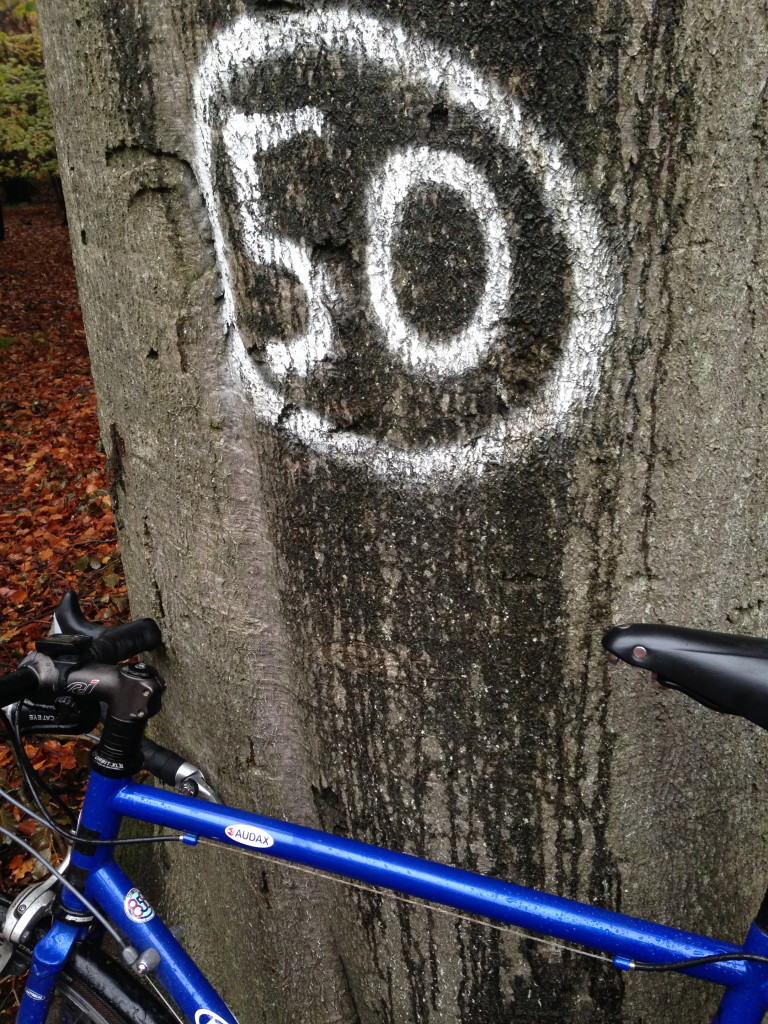 50 reasons to be a cyclist