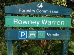 Rowney Warren