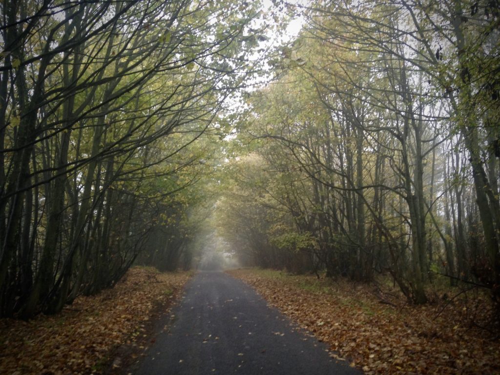 Bedfordshire lane in autumn